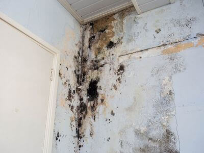 About League City Water Damage Restoration - water damage restoration experts in League City