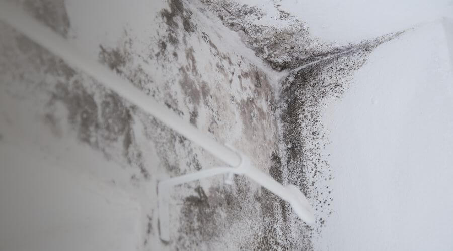 Why choose League City Water Damage Restoration for water damage restoration in League City